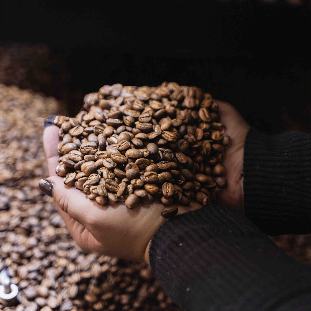 Comment bien choisir son café : les signes qui ne trompent pas ! - LOUTSA Torréfacteur