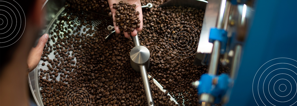 Grains de café fraîchement torréfiés dans une machine de torréfaction artisanale, une main les examine pour contrôler leur qualité.