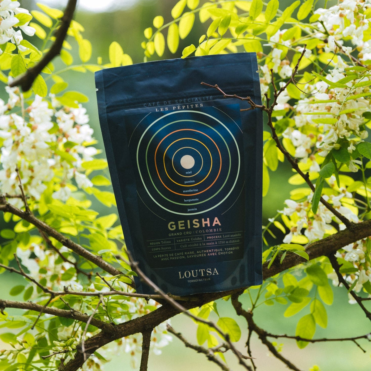 GEISHA, café d'exception - LOUTSA Torréfacteur