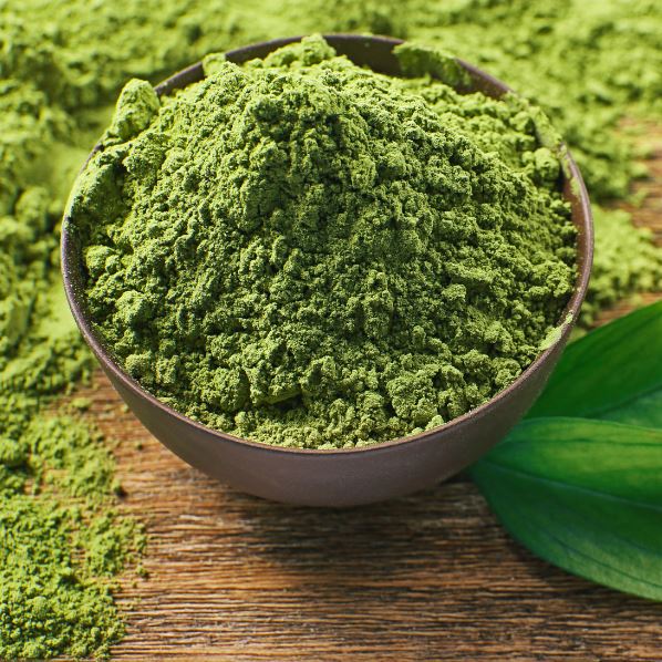 MATCHA - LOUTSA Torréfacteur