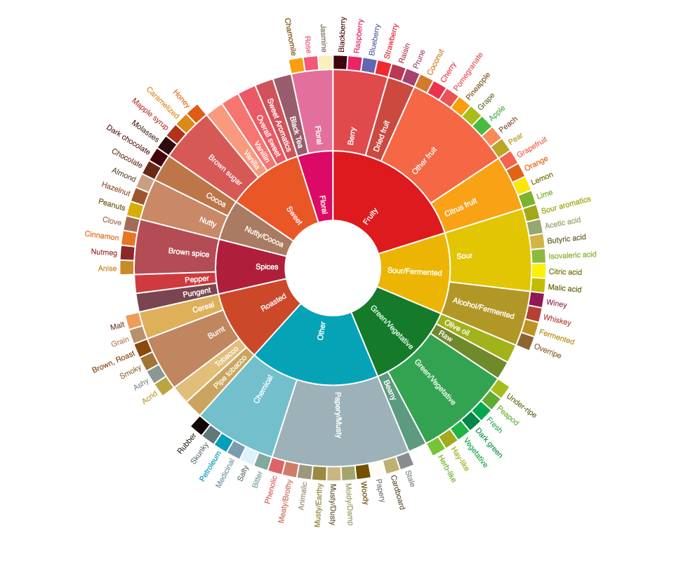 La roue des arômes fournie par la SPECIALITY COFFEE ASSOCIATION